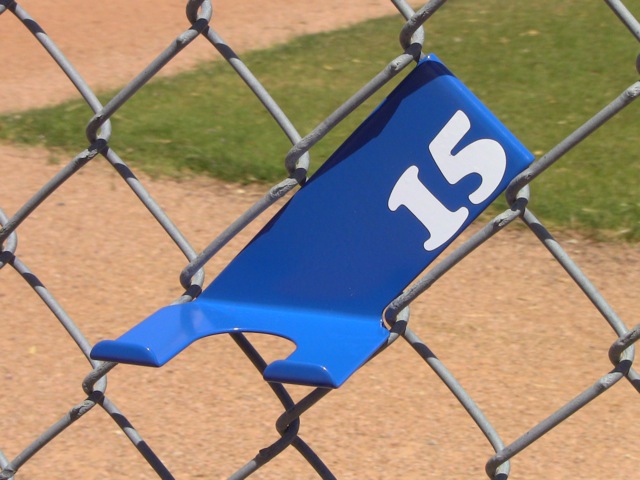 Blue Bat Hanger Holder